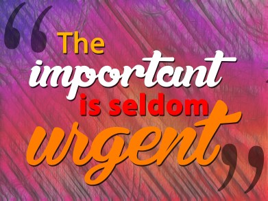 TheImportantIsSeldomUrgent